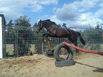 Fotoblog iskraaa226