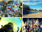 Fotoblog inka10x