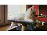 Fotoblog 010912