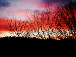 Fotoblog swietybalagan