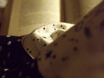Fotoblog lluckyy