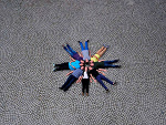 Fotoblog rozmys1