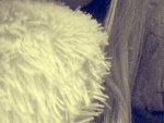 Fotoblog laandrynkowaa