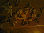 Fotoblog karola2103