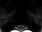 Fotoblog tinyyy