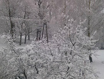 Fotoblog czekoladowa123456789