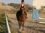 Fotoblog kuniaraaa