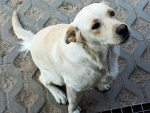 Fotoblog doooraa