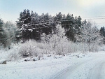 Fotoblog luubiieplacki