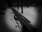 Fotoblog morelowa17