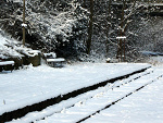 Fotoblog rybbaxd