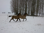 Fotoblog nikitowaa77