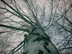 Fotoblog molanrd