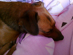 Fotoblog zagubionawswiecietym