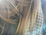Fotoblog theartofdying