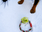 first snow