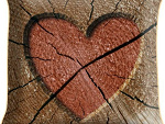 Fotoblog 1patki1
