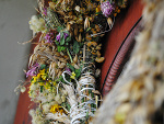 Fotoblog xdzinax