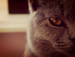 Fotoblog kidawkaaaa