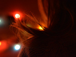 Fotoblog bumcfkszsz