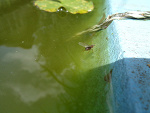 Fotoblog swiatwobiektywiee