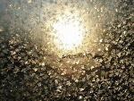 Fotoblog snowclover