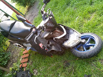 Fotoblog ssphwdp