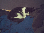 Fotoblog radziolek4