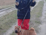 Fotoblog targaj