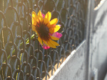 Fotoblog praay4loove