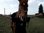 Fotoblog xbrommerx