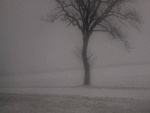 Fotoblog whathaveibecome