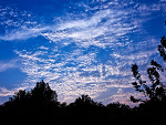 Fotoblog weaknessoftheheart