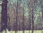 Fotoblog olciia123