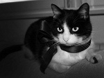 Fotoblog tyska26