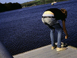 Fotoblog darekmorta