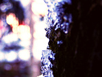 Fotoblog ewunia5923