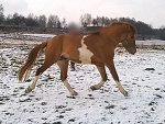 Fotoblog goodchoices