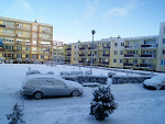 Fotoblog wisieniaa
