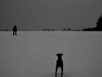 Fotoblog peeteer