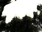 Fotoblog olkafasolkaaa