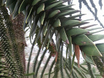 Fotoblog tapixdxd