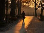 Fotoblog myszons