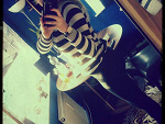 Fotoblog paulinkaaa69