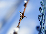 Fotoblog skygrey