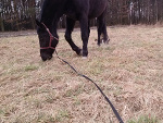 Fotoblog fanciak