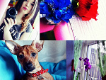 Fotoblog insomniaax3