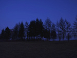 Fotoblog onaniemowinic