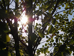 Fotoblog xurfux