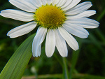 Fotoblog sandeerra